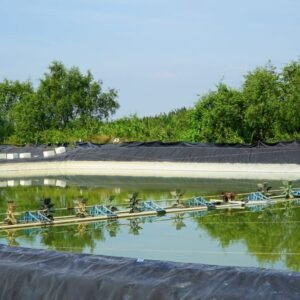 bạt lót ao hồ giá rẻ
