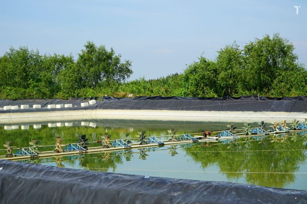 bạt lót ao hồ giá rẻ