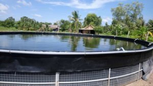 bạt hdpe có bến không