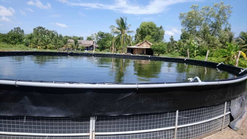 bạt hdpe có bến không