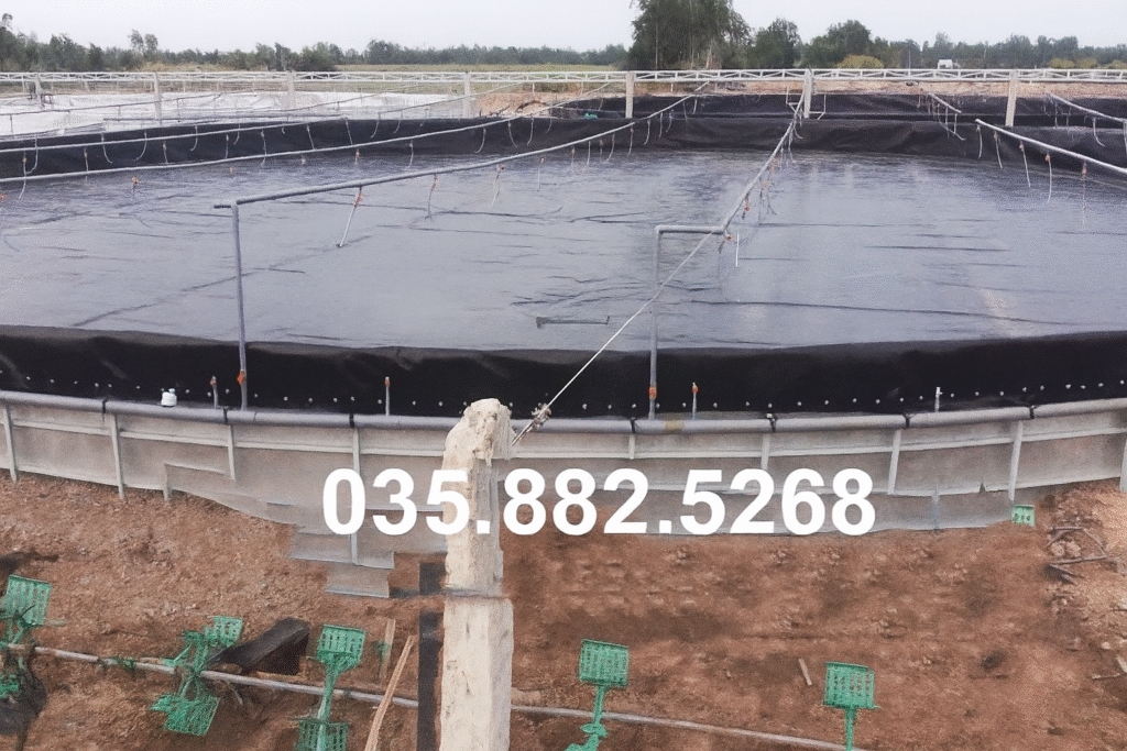 hồ nuôi tôm lót bạt hdpe